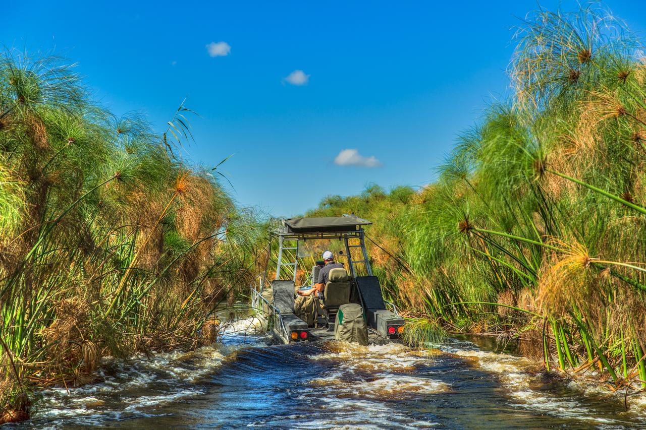 Thamalakane River Lodge Maun Zewnętrze zdjęcie